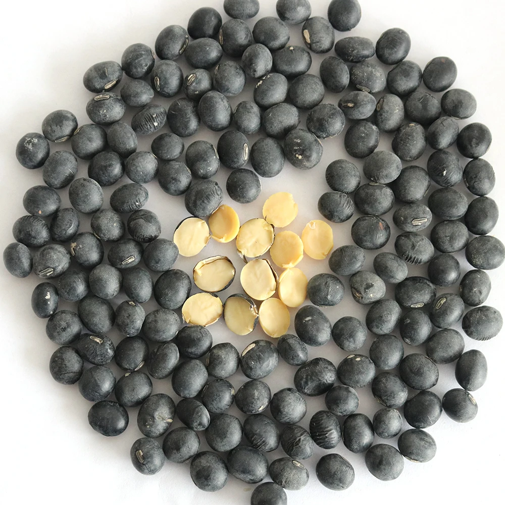 Свежее высокое качество черная фасоль