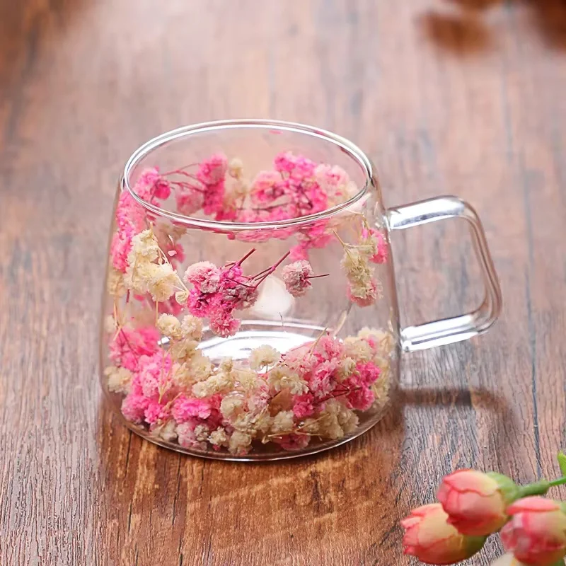 Double Wall Dry Flowers Transparent Glass Coffee Cup with Handle Double-layer Heat Insulation High Temperature Juice Milk Cup
