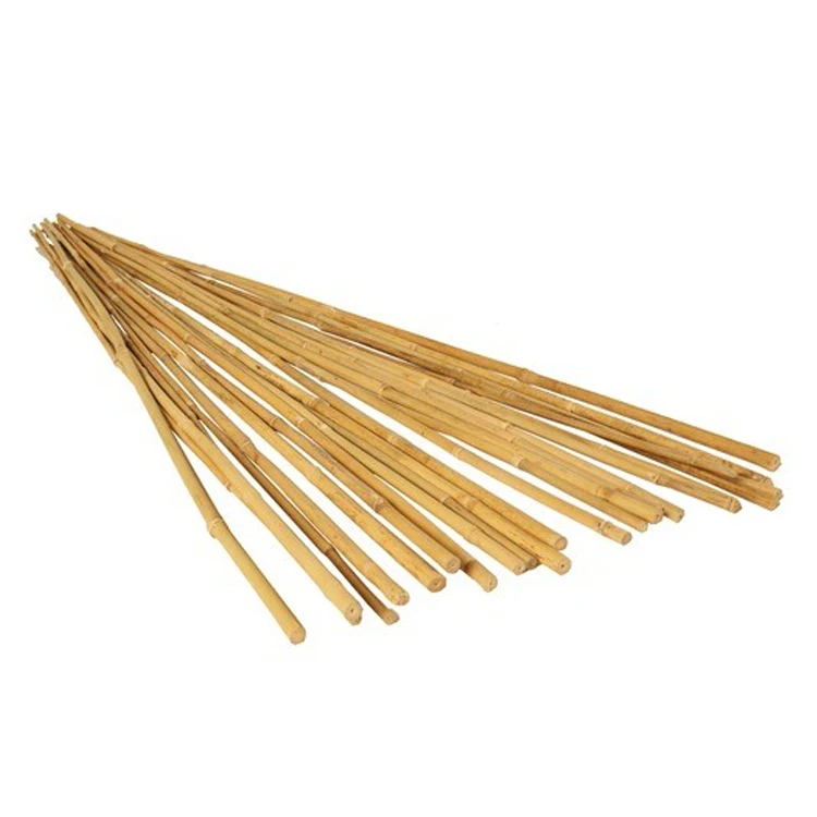 Winslow & Ross wholesale plant support stakes bamboo garden stakes natural bamboo flower sticks