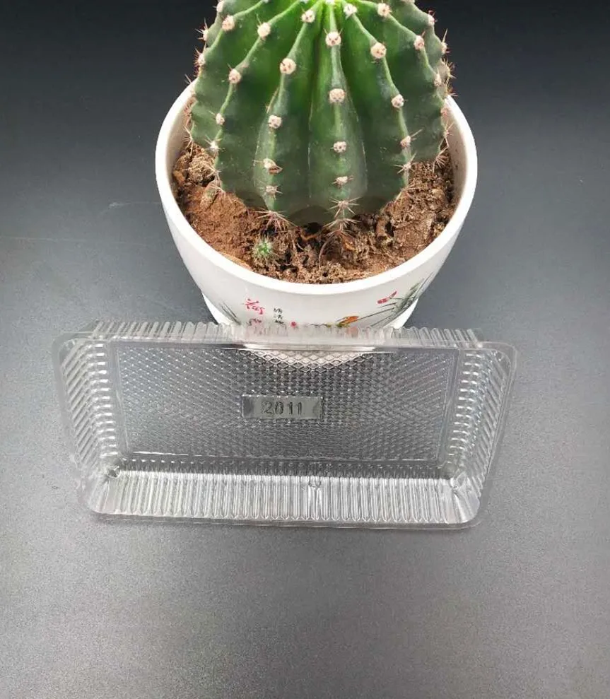 Wholesale Disposable Frozen Food Pet Pla Plastic Packing Tray For Meat