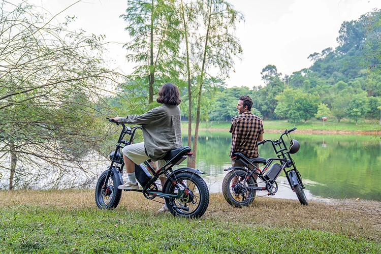 USA UK EU Warehouse 1000W Electric City Bike Adult Cheap Fatbike Long Range Electric Bike 20inch E Bicycle