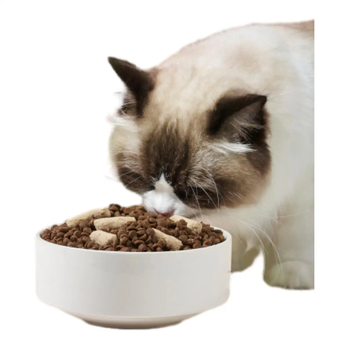 OEM pet food manufacturer High protein nutrition high quality fish shaped fish flavor wholesale bulk dry cat food
