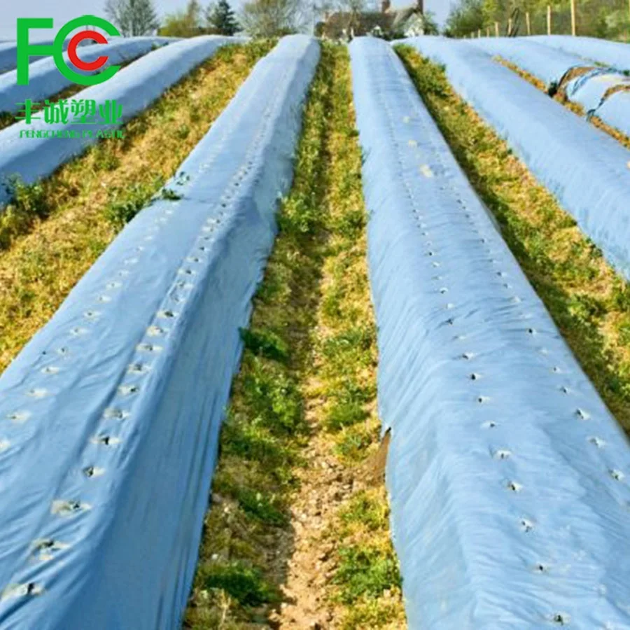Mulch Film Greenhouse Plastic Agricultural Film Agricultural Ground Cover