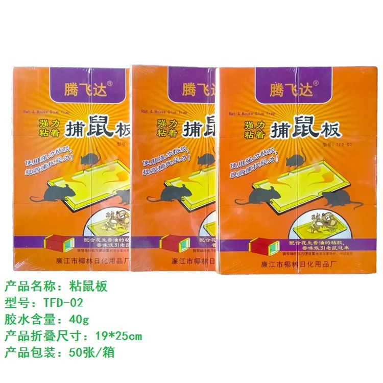 Hot Selling Efficient Rat Killer Bait Station Wholesale Manufacturer Mouse And Rat Catcher Trap Suppliers For Restaurants