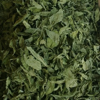 Wholesale Molokhia Leaves  Natural Egyptian Molokhia Leaves 100% Pure Organic Premium Grade Molokhia Herbs