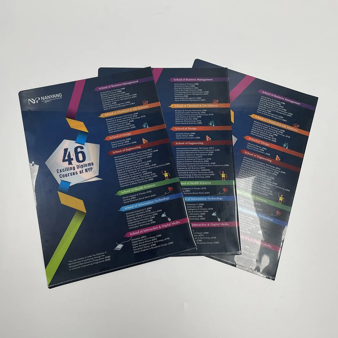 Dark color plastic folder customized design L shape file folder PP pockets folders for office