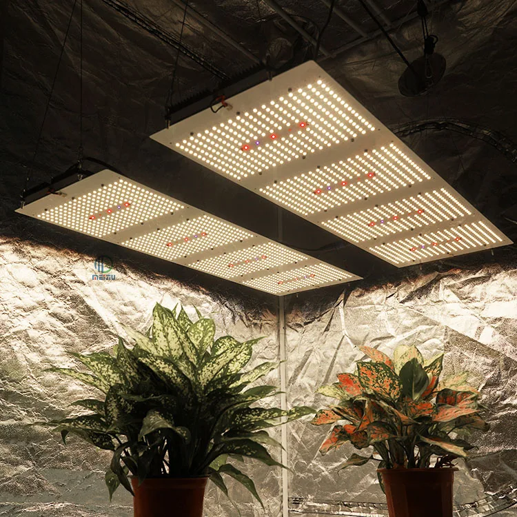 Meijiu X Light, Customized 600W Samsung Lm301B 3000K 4000K Pcb Led Grow Lights For Indoor Plants/