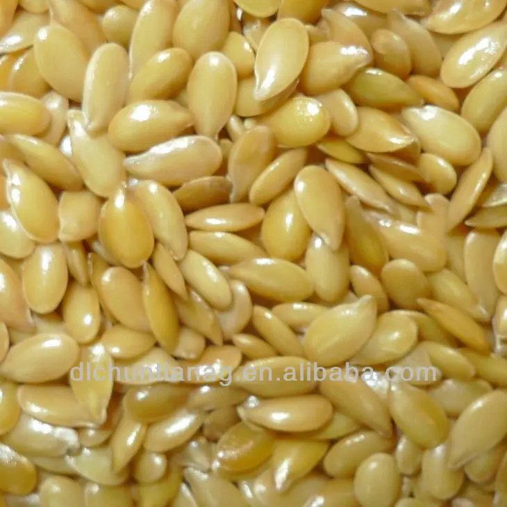 Top Selling Natural Golden Flaxseed Bulk Supplier