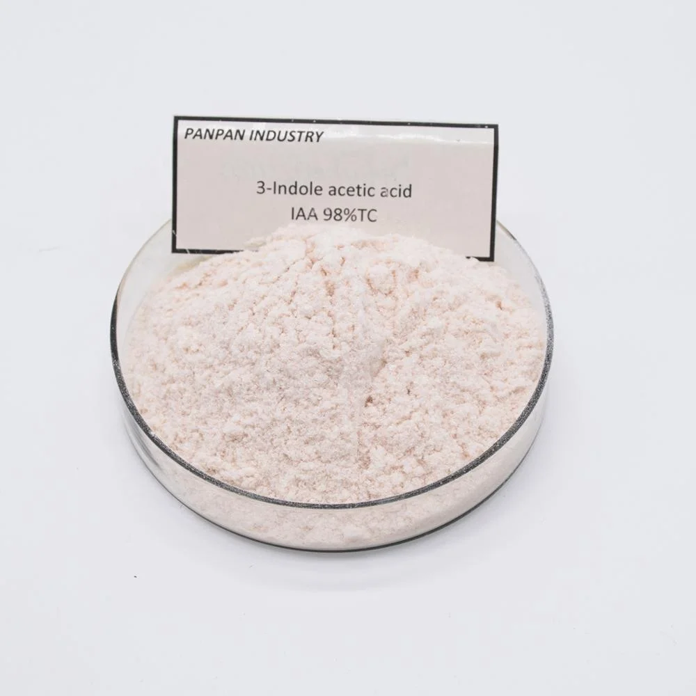 
Indole 3 Acetic Acid, Sale Indole Acetic Acid IAA Auxin Hormone Powder Price 