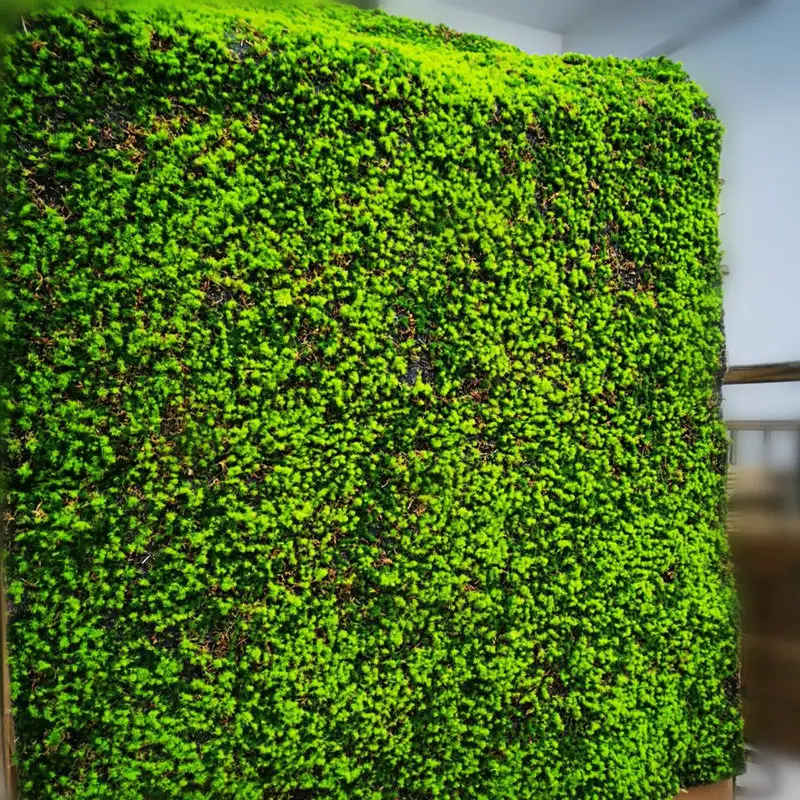 Factory Price Preserved Wall Moss For Arrangement Decor Real Natural Stabilized Reindeer Moss Panel Wholesale Everlasting Moss