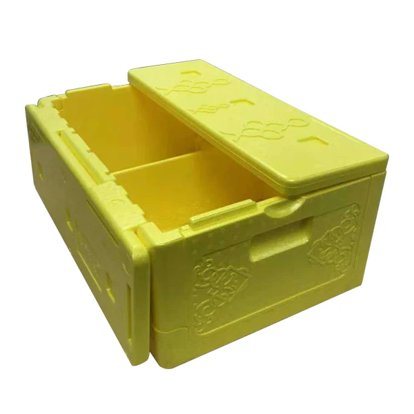 Camping Cold Chain Epp Foam Insulated Container cooler box