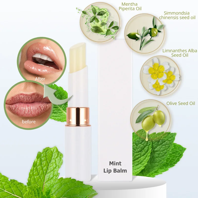 mint rose orange Flavor Lip balm creamy lip Stick Private Label color changing Moisturizing Nourishing natural Lip Balm