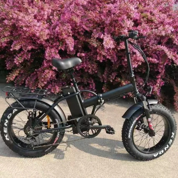 Fantas-Bike China factory cheap 20 inches fat tires folding snow e-bike lithium battery foldable electric bicycle in ready stock