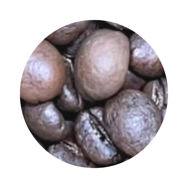Arabica Catimor быстрая доставка поставщик кофе в зернах индивидуальная упаковка зеленые кофейные зерна изготовленные на вьетнамском языке