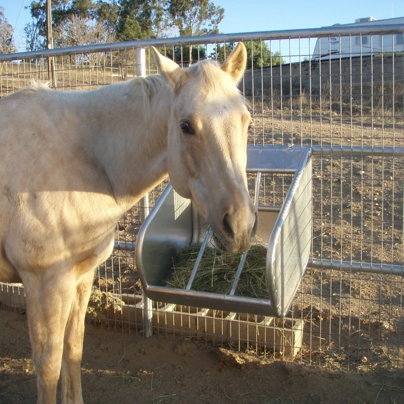 Galvanized Horse Equipment Horse Hay Feeder With Movable Cap