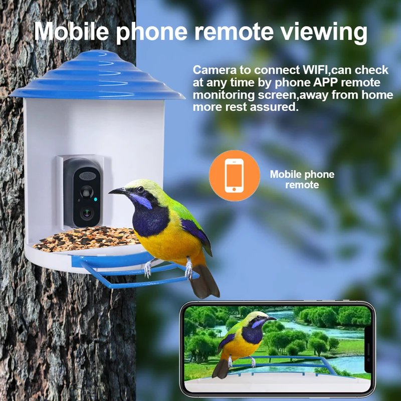 Wistino 1080p Auto Capture Bird Videos AI Smart Bird Feeder Camera AI Identify Bird Species Solar Wireless CCTV Camera
