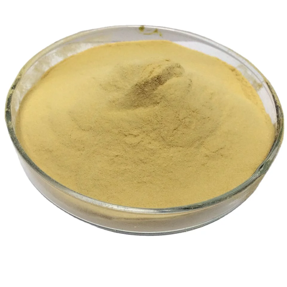Food Grade High Quality enzyme lipase  pulver lipase enzyme price