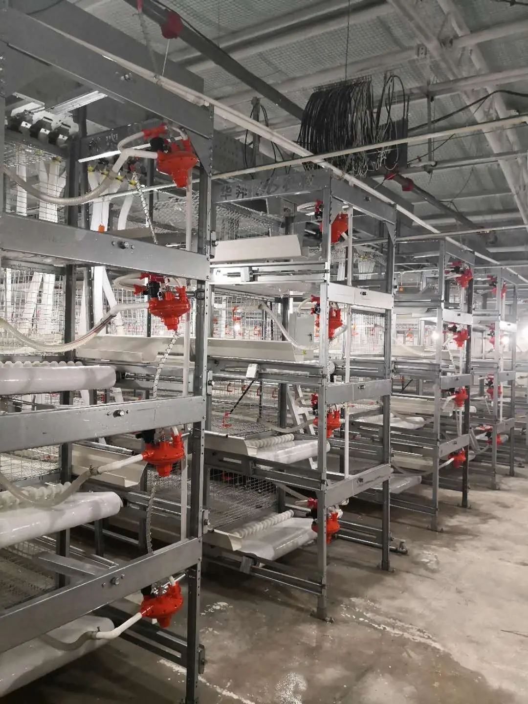 H-Type Poultry Cage System for Layer Chickens Automatic Farm Cage Battery Layer Frame Broiler Cages For The Chicken House