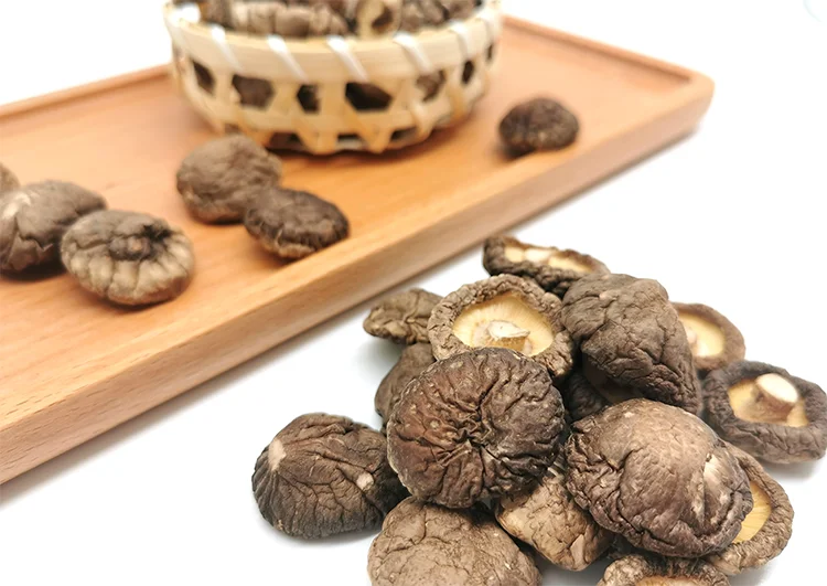 Wholesale  healthy dried shitake mushroom 3mm