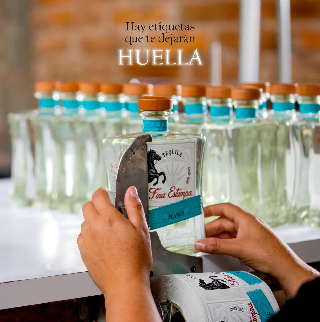 Premium Exotico Commercial Production Drinking Water Bottle Food And Beverage Healthy Agave Alcoholic Drinks Tequila