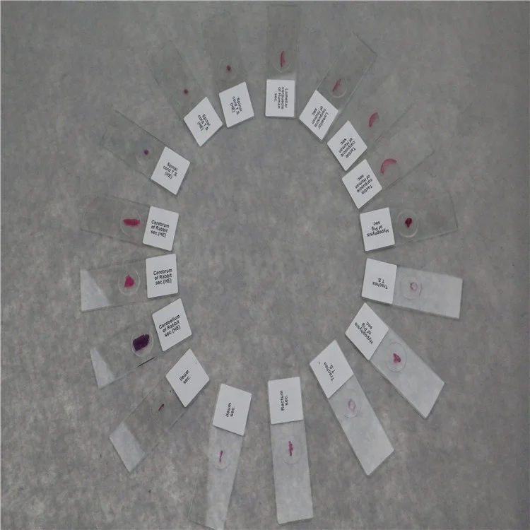 medical science Factory Biology zoology prepared medical semen storage container glass slides with great price