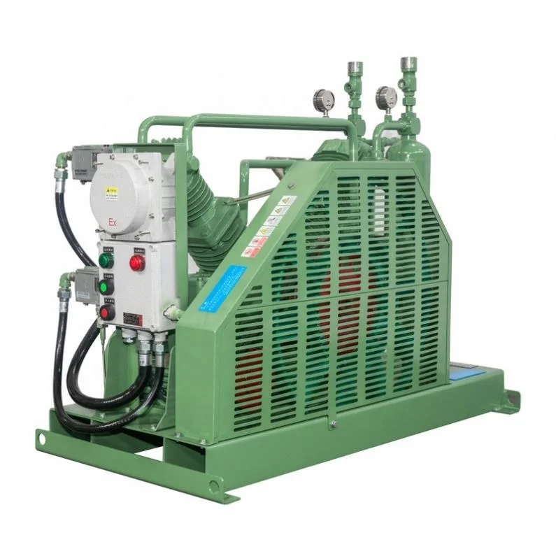 Custom Or Standard Wholesale Price Small Hydrogen Piston Compressors
