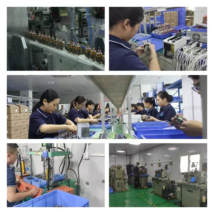 Shunli Customized Manufacturer 12V 24V Micro DC Gear Motor Worm Planetary Gearbox 100V 240V AC Shaded Pole Gear Motor OD6MM-70MM