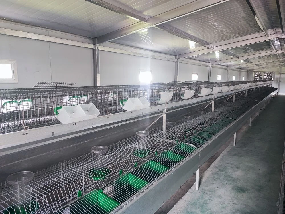 4 tiers 24 rabbits commercial price rabbit cages manufacturer