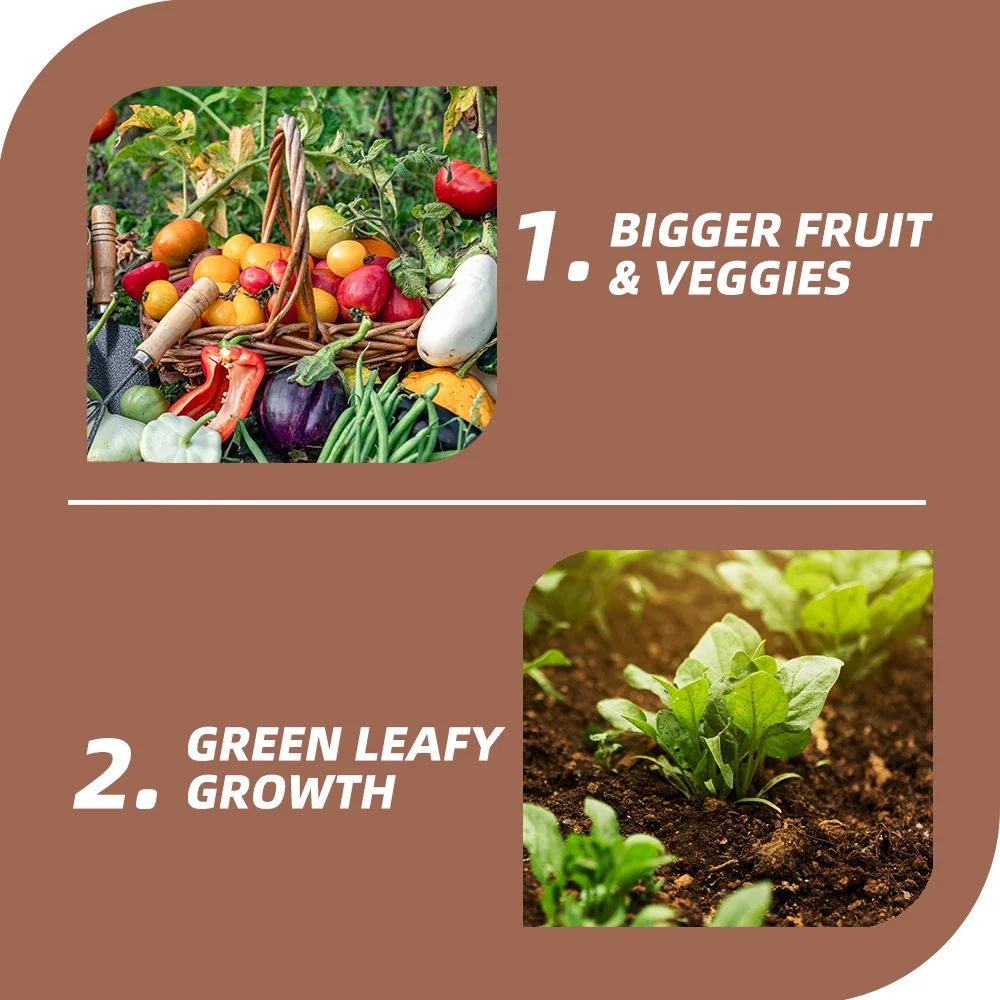 NPK Controlled Release Water Soluble Compound Fertilizer Granular for Agricultural Use  Granules Water Soluble Fertilizer