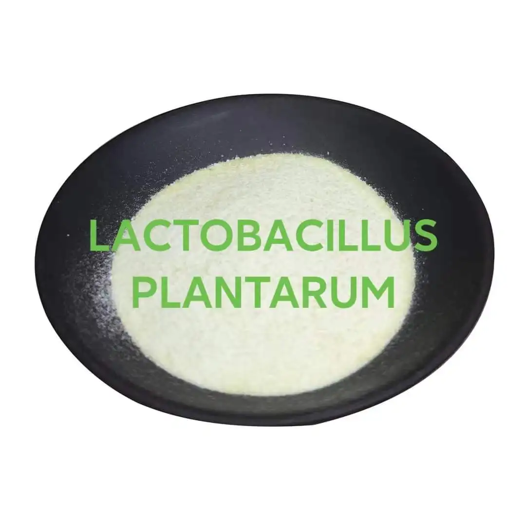 Высококачественные Анаэробные бактерии Lactobacillus Plantarum кормовая добавка Порошок способствует пищеварению улучшает иммунитет для аквакультуры
