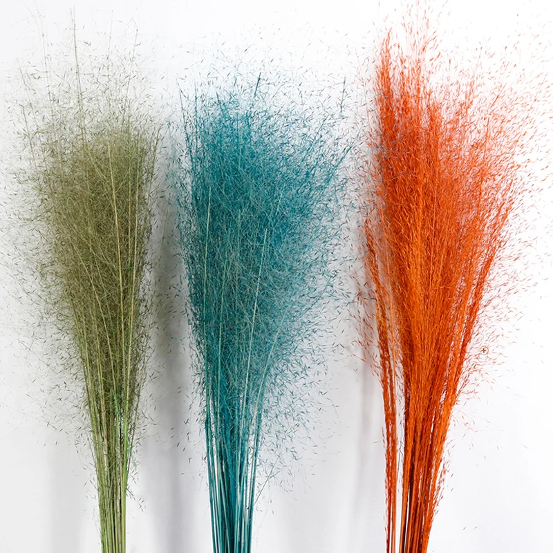 GH-041 Fluffy Feather Misty Cloud dried Whitefly muhlenbergia capillaris chaotic pink muhly grass zinfandel pampas grass decor