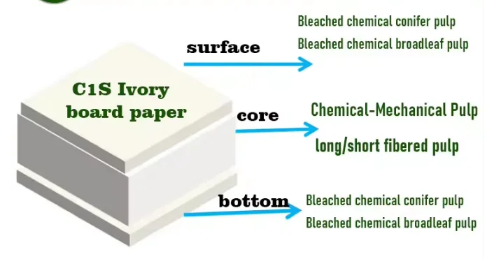 Professional Factory 72*102cm 77*110cm 787*1092mm Cup Ningbo Coated Ivory Fbb Board China Paper Mill