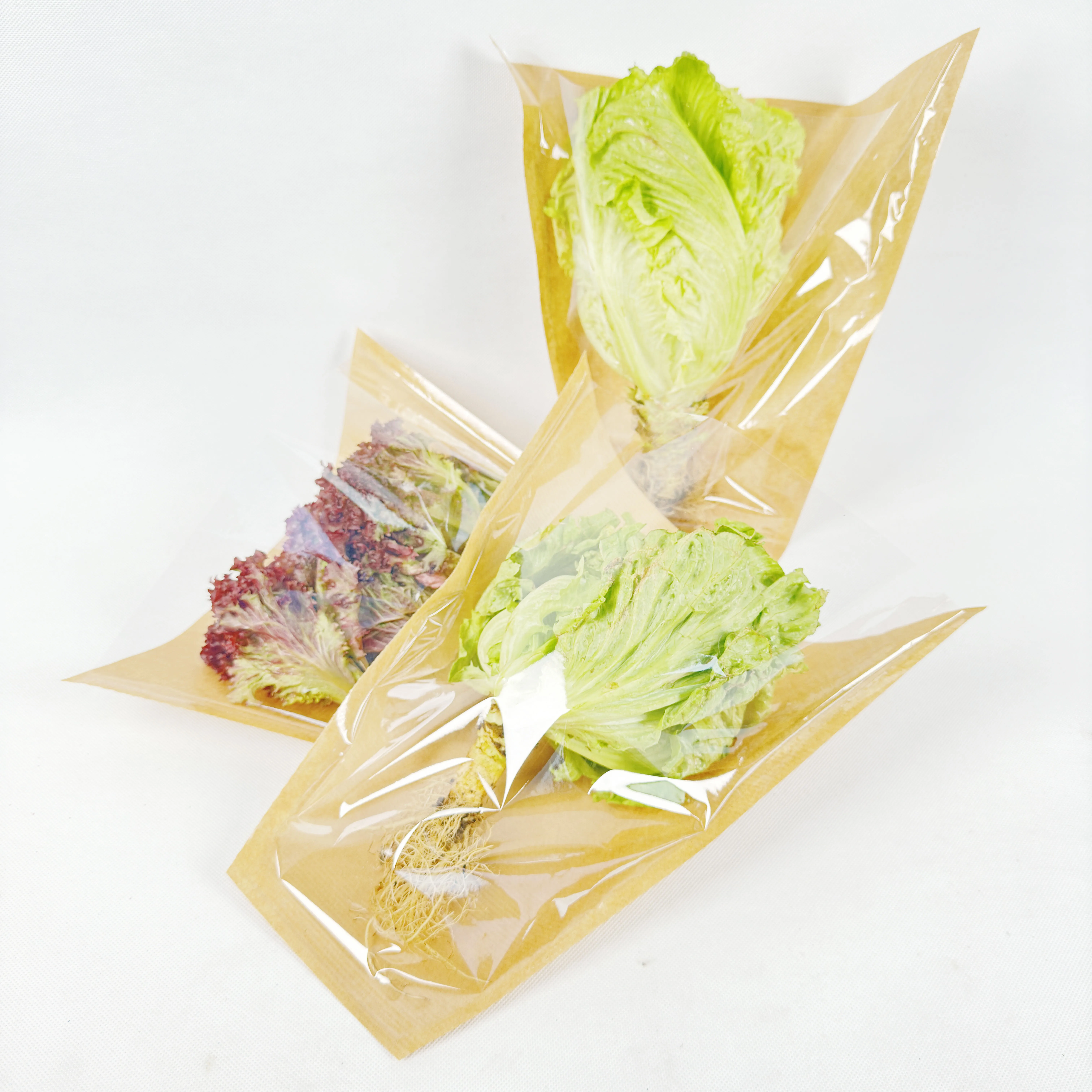 Biodegradable Hydroponics Shrink Bags for Fresh Living Lettuce & Herb Roots Bottom Closure for Agriculture Use