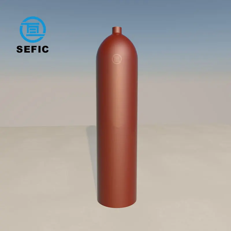 Factory Direct Sell ISO Standard 100L/106L 300Bar Oxygen Gas Cylinder CO2/Nitrogen/Argon Gas Cylinders