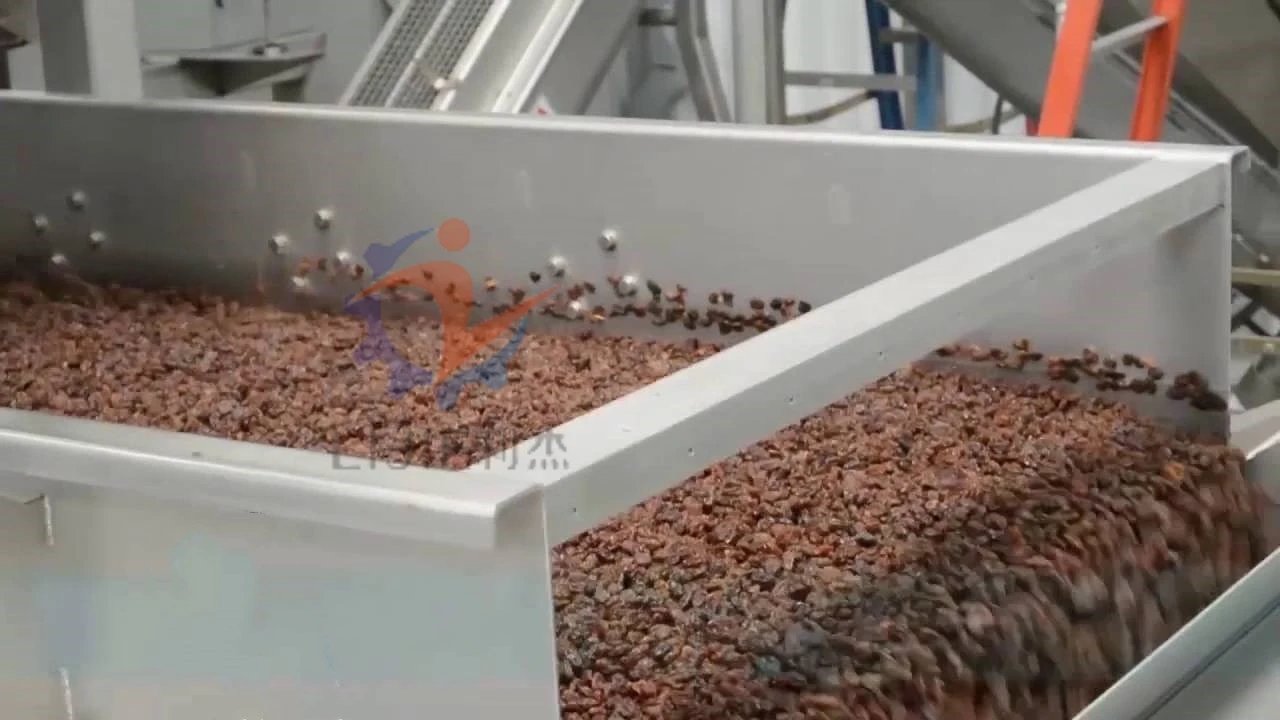 Industry raisin drying machine onion dryer with factory price