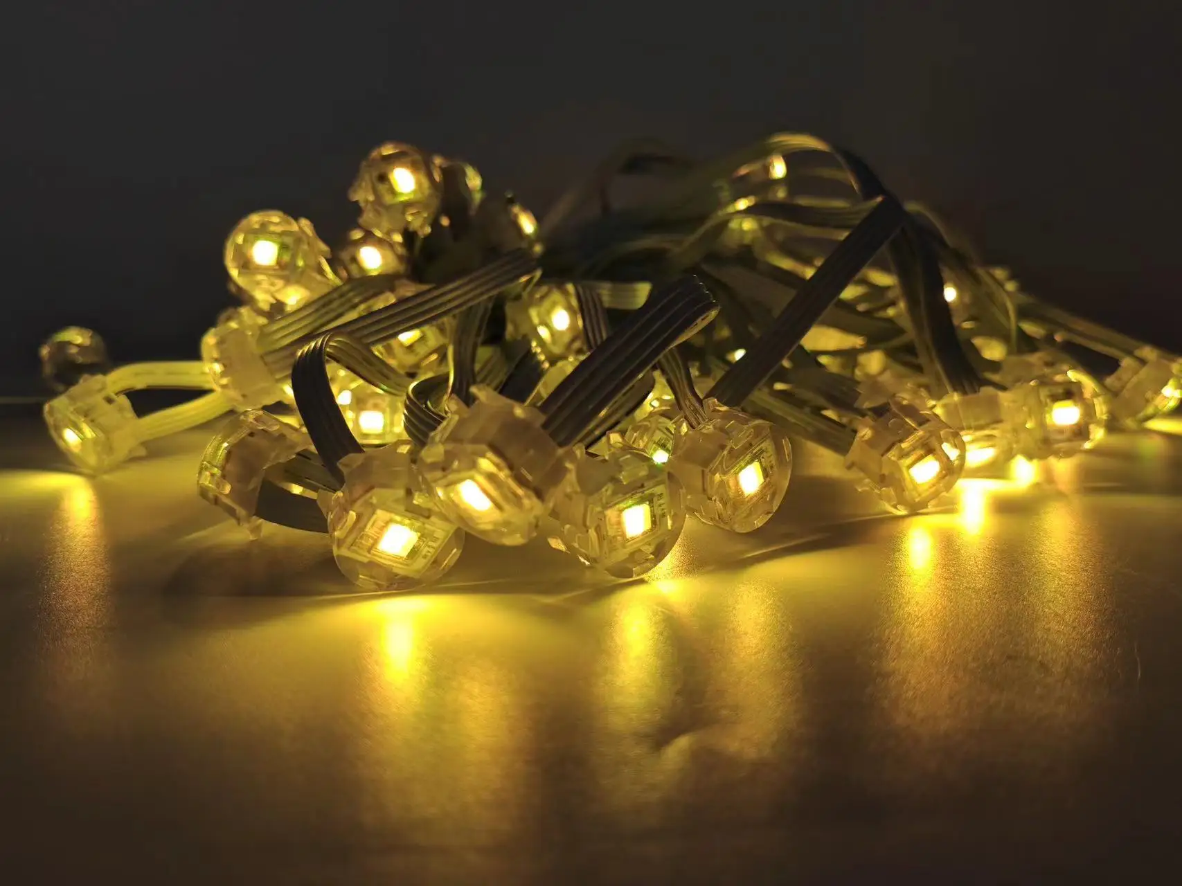 Smart RGB IP67 Waterproof Eaves Lights 24V Led Permanent Christmas Lights Outdoor for Roof Garden Decoration Party Lights