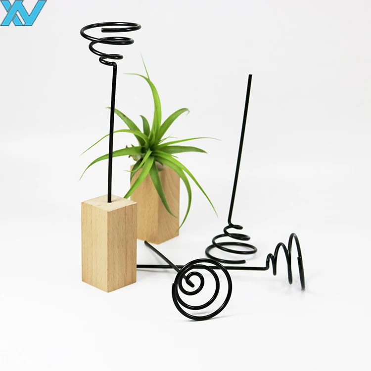 Display Desk decorate air-plant metal holder clip metal wire storage stands with wooden base