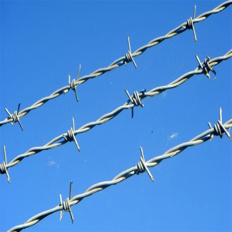 Direct selling 304 stainless steel barbed wire garden green wire fence barbed wire isolation net supply