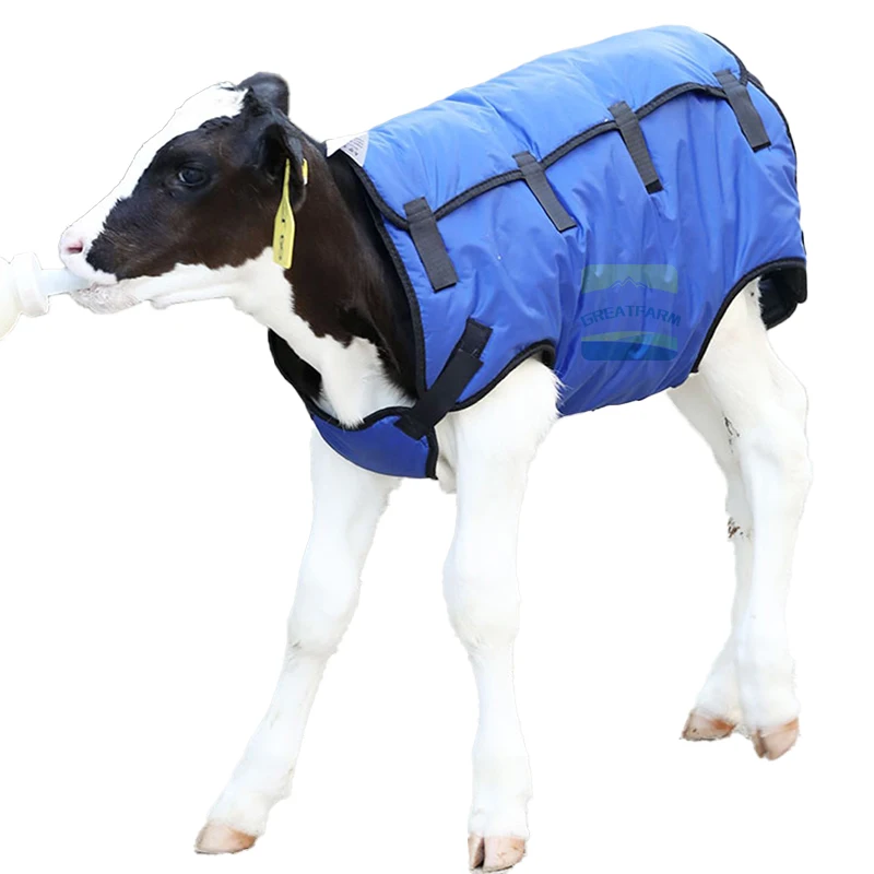 Great Farm Best Seller Durable Waterproof Cotton Livestock Warm Clothes for Calf Home Use Animal Farm