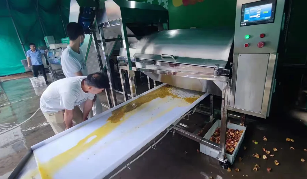 Passion Fruit Pulp Juice Separating Processing Machines Processing Line