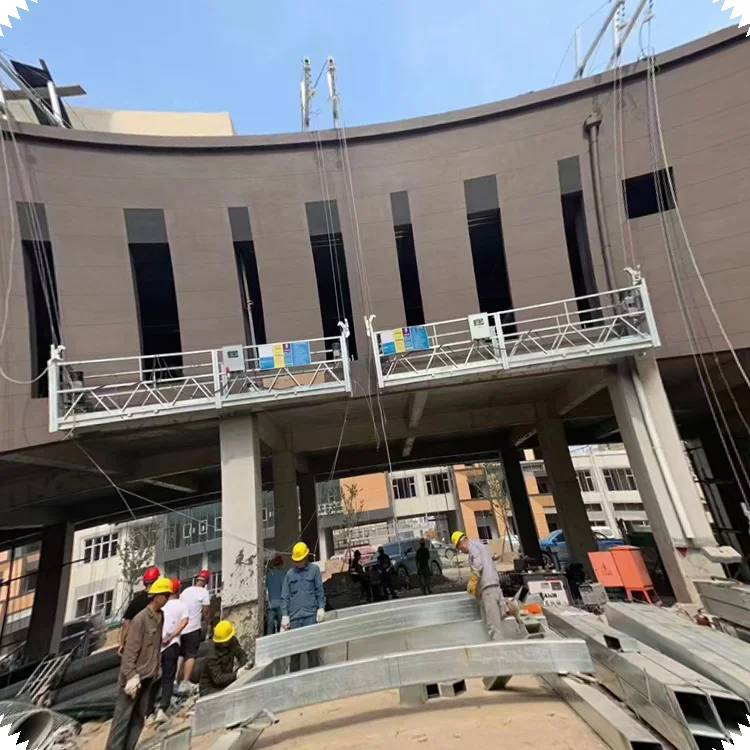 Электрическое подъемное здание с порошковым покрытием техническое обслуживание чистое оборудование подвесные платформы