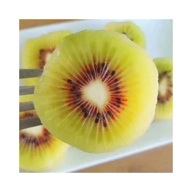 China kiwi-fruit suppliers top grade health fresh kiwi