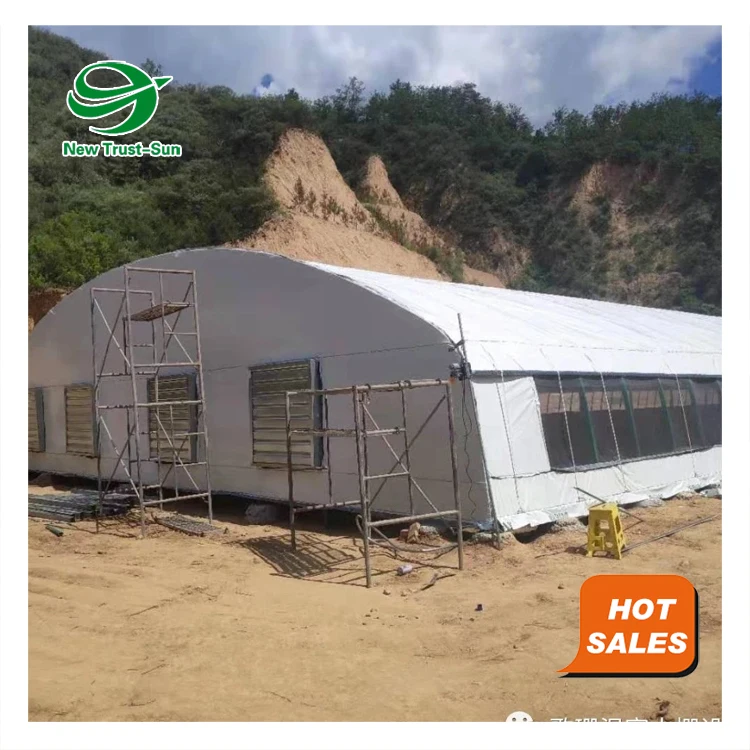 
automatic chicken cages poultry farming equipment heaters greenhouse 