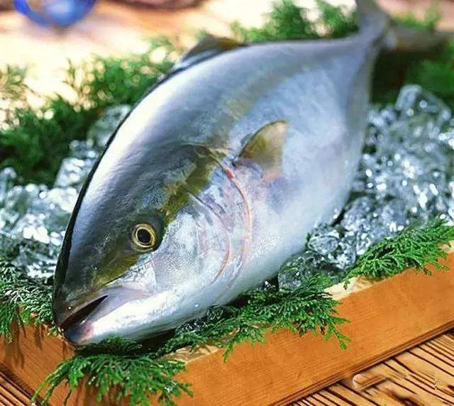 Высокое качество, оптовая продажа, замороженная Желтая рыба 7 кг, из Китая