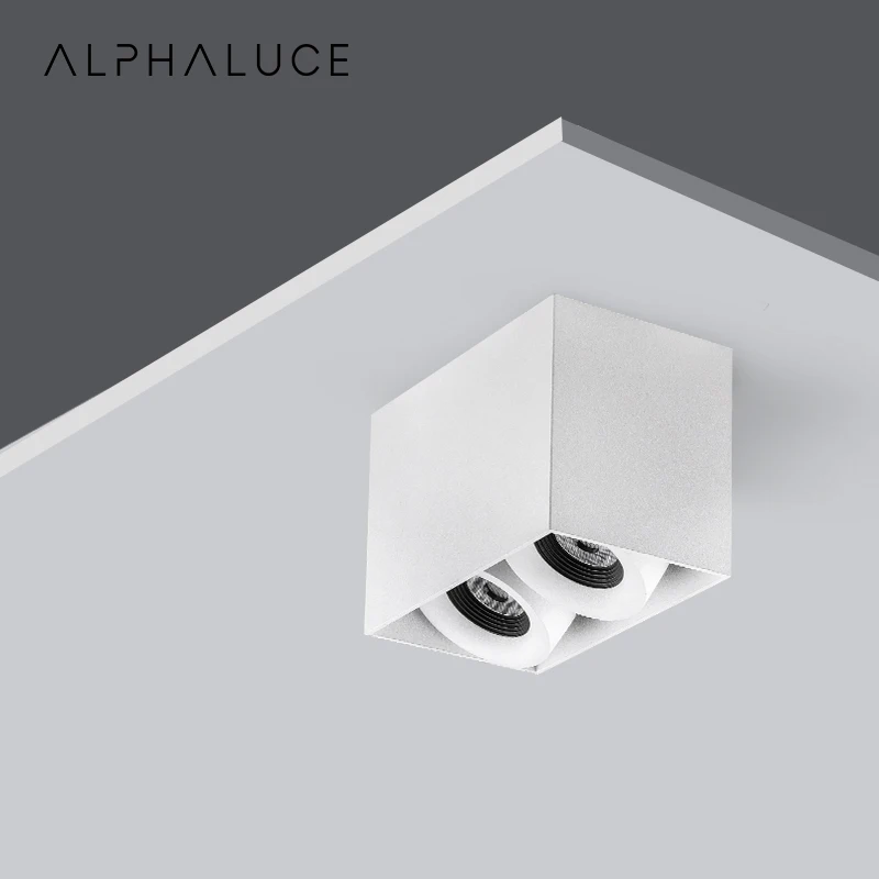 Professional Alpha Lighting Indoor 16W High Cir 97 Double Head Spot Smart Home Lights Mounted Led Ceiling Light