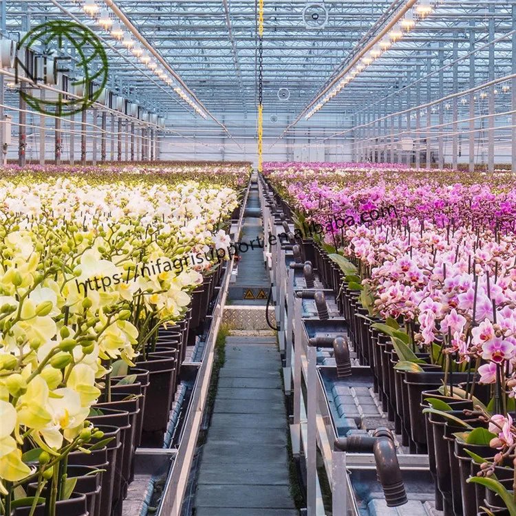 NIF Custom Size Colored Painted Bamboo Plant Support Garden Stakes for Flower