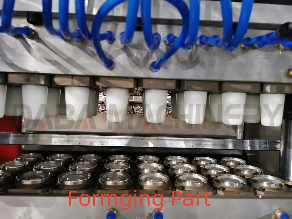 DB-750 automatic sour cream cpla plastic cup lid vacuum forming pot production machine