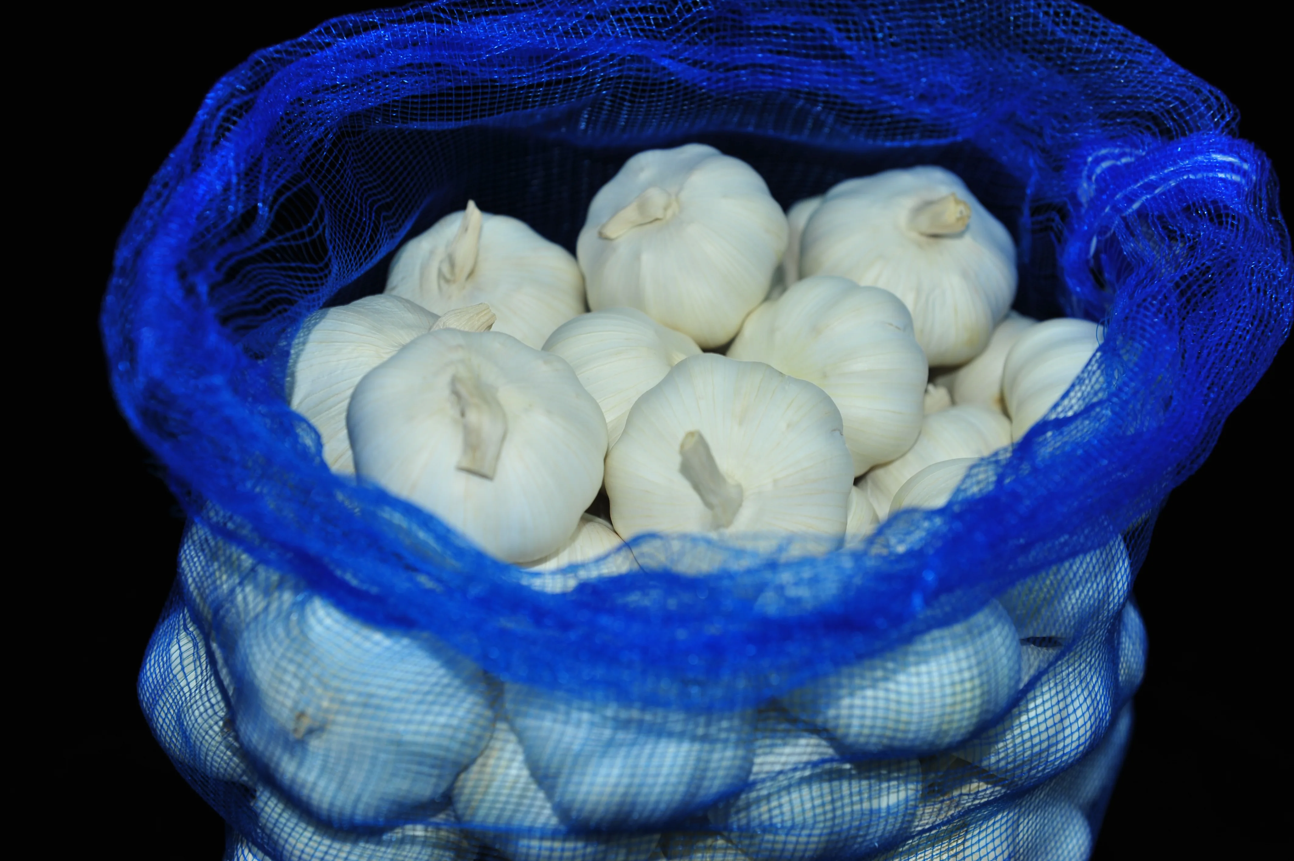 Pure white garlic to export at a low price wholesale