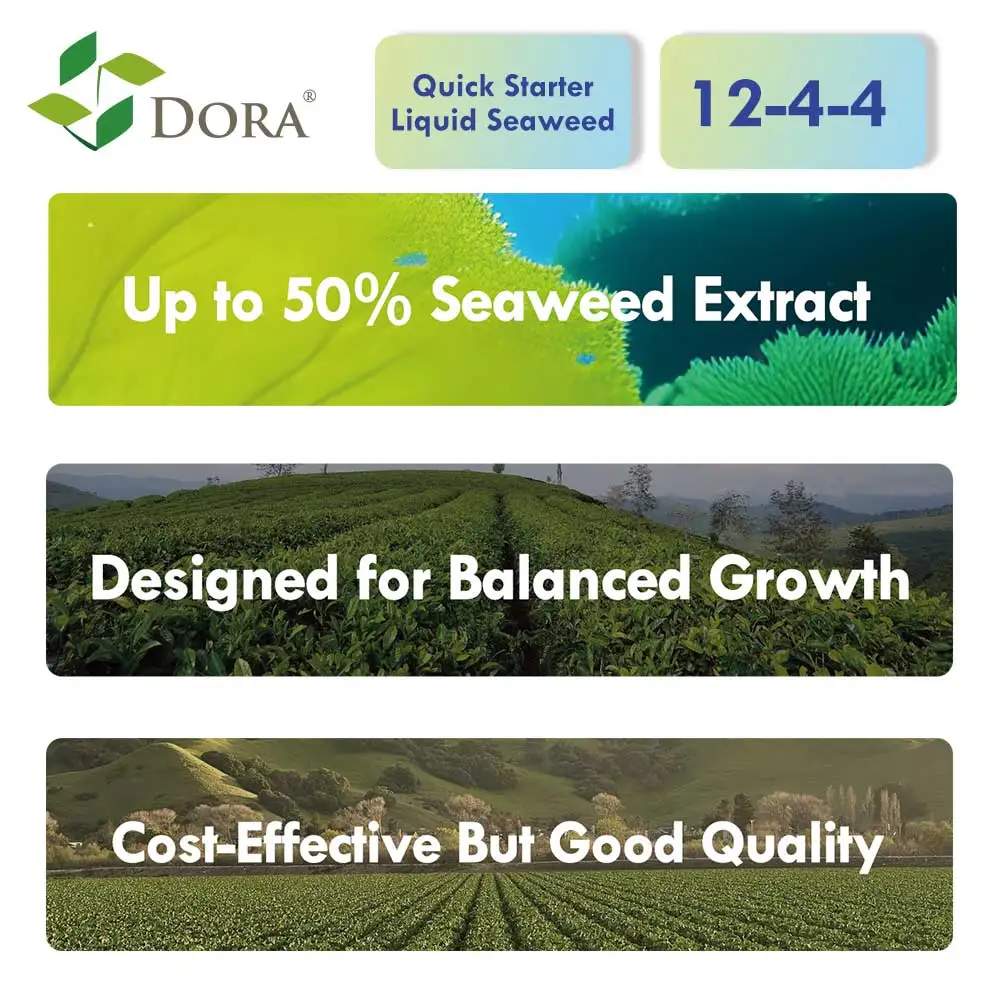 Dora Alga200 Compound Fertilizer NPK 12-4-4 Seaweed Composition Fertilizer Improve Seedling Vigor