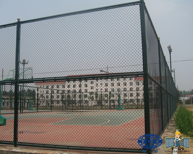Plastic coated Green inside Hot dipped Galvanized chain link fence for wholesales